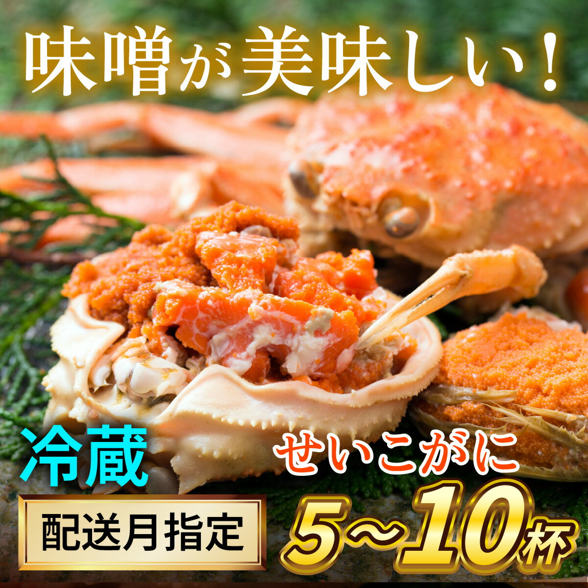 【ふるさと納税】【数量が選べる】セイコガニ（ズワイガニのメス）5〜10杯 / 越前ガニ コッペガニ ズワイガニ 小浜市 / まるほ商店 【配送不可地域：北海道・沖縄・離島】[BFCS015][BFCS016][BFCS017]