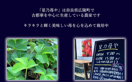 古都華贈答用1パック 2025年4月発送開始 　　　　いちごいちごいちごいちごいちごいちごいちごいちごいちごいちごいちごいちごいちごいちごいちごいちごいちごいちごいちごいちごいちごいちごいちごいちごい