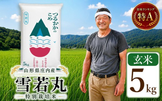 【令和7年産】 特別栽培米 雪若丸 玄米 5kg (5kg×1袋)　山形県 庄内産 　| ゆきわかまる 5キロ 米 お米 コメ 食品 ご飯 ごはん 美味しい おいしい ブランド米 庄内米 エコ包装 お