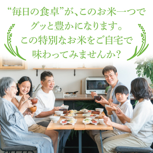 【6ヶ月定期便】【11月より毎月発送】【新米】令和7年産 立神米「にじのきらめき」5kg×6回（白米）｜茨城県 大子町 奥久慈 大子産米 精米 米 コンテスト 受賞 生産者 ふっくら もっちり 米（B