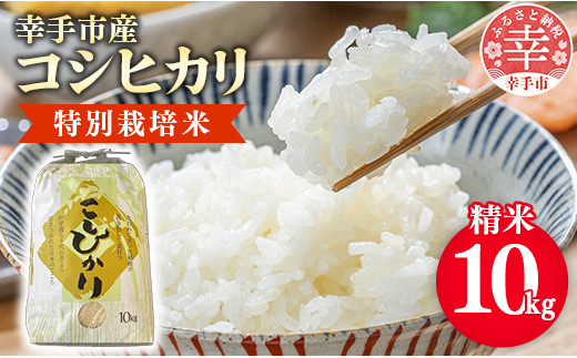 
                  【令和8年産】有機肥料100％ 埼玉県幸手市産特別栽培コシヒカリ 精米10kg - 新米 コシヒカリ こしひかり 米 精米 10kg 有機肥料 特別栽培米 幸手市産 埼玉県 幸手市【価格改定】
                
