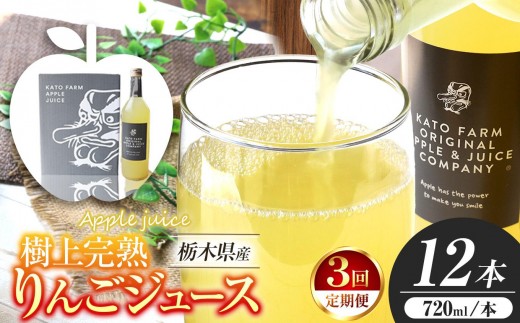 【定期便3回】栃木県矢板市産 樹上完熟100％りんごジュース 720ml×12本入  | 林檎 リンゴ 果汁100% 産地直送 (毎月お届け）