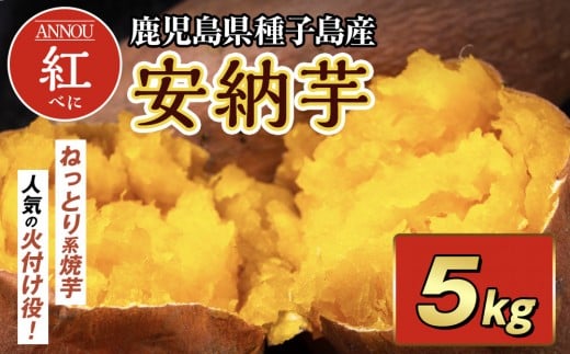 種子島産安納紅いも5kg 2S～Sサイズ （61～150ｇ）