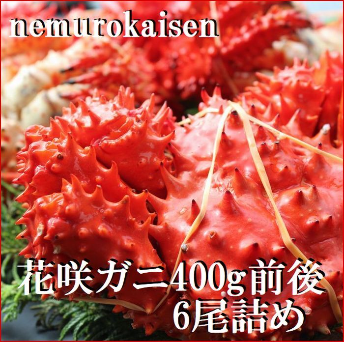 【ふるさと納税】【12月22日決済確定分まで年内配送】[北海道根室産]花咲ガニ400g×6尾 C-57049