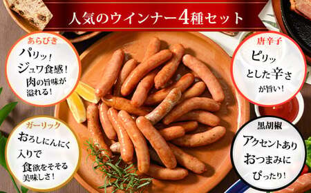【定期便3ヶ月】ウインナー充実セット 4種類 ｜ BBQ バーベキュー アウトドア キャンプ 肉 豚肉 惣菜 詰め合わせ お弁当 朝食 食べ比べ 真空パック ソーセージ ウィンナー
