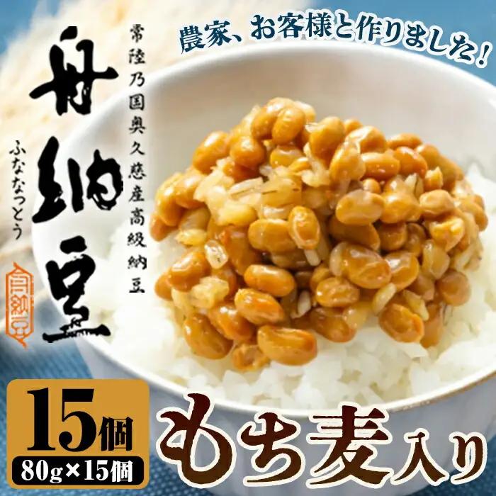 納豆 もち麦入り舟納豆 15パック 茨城 大豆 【納豆】【ho1532】