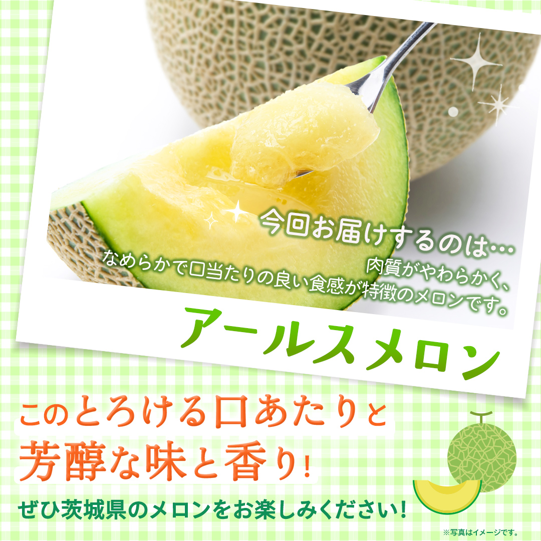 アールスメロン 2玉 メロン ギフト 高糖度 甘い 美味しい フ