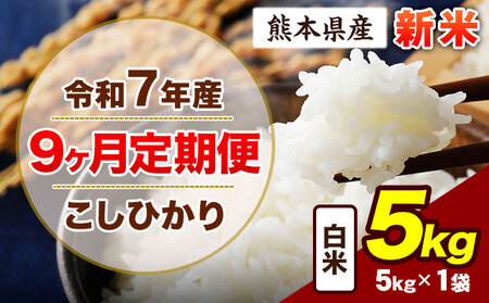 【9ヶ月定期便】令和7年産 定期便 こしひかり 5kg 新米 白米 阿蘇 うぶやま 米 定期便 熊本県産 ふるさと納税 精米 ひの 米 こめ ふるさとのうぜい コシヒカリ コメ お米 おこめ《お申込み翌月から出荷》