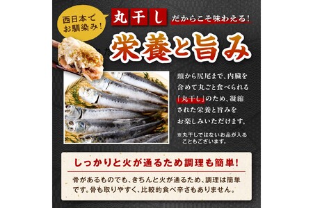 【干物 定期便・3ヶ月】リピーター人気！京丹後の地元魚屋が作ったお任せ干物セット（冷凍）日本海 旬の干物 定期便 3回 ・干物セット定期便・干物詰め合わせ・ひもの
