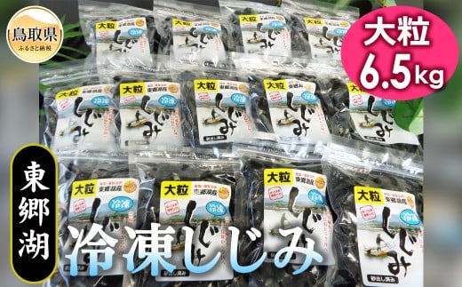 E24-008 東郷湖冷凍しじみ（大粒） 6.5kg