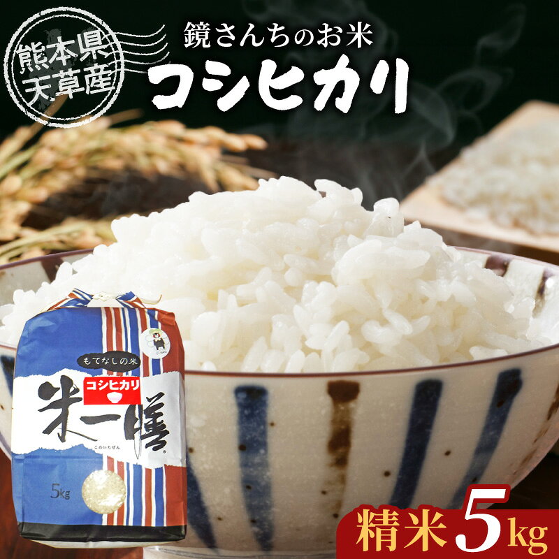 【ふるさと納税】令和7年産 コシヒカリ 5kg 精米 単一原料米 白米 ごはん 米 おにぎり 米作り 熊本県 天草 お取り寄せ 食品 九州 故郷の味 常温 送料無料