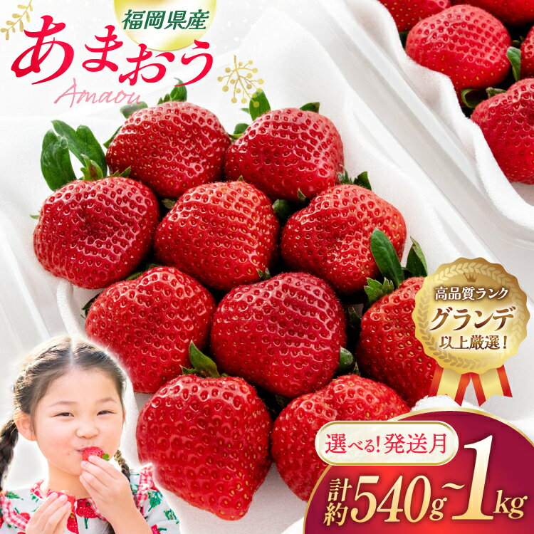 【ふるさと納税】 いちご あまおう 選べる 量 発送時期 [hurrah. 福岡県 宇美町 um40bjm200006] イチゴ 苺 フルーツ 果物 果実 甘い あまい グランデ