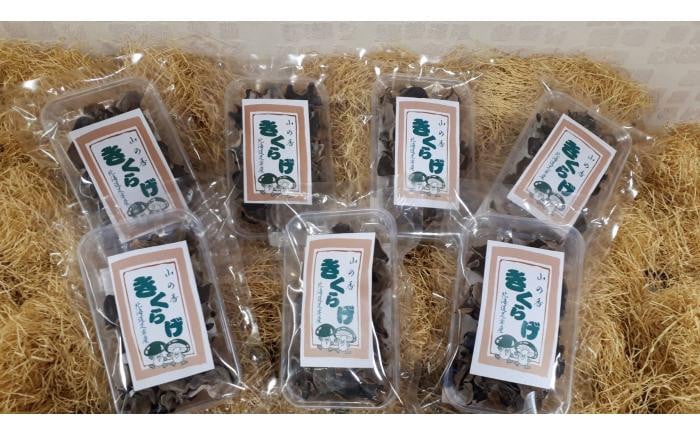 
            乾燥きくらげ 20g×7袋《足寄町》【NPO法人あしょろ観光協会】きくらげ スープ 料理 中華 食物繊維 鉄分 貧血 健康 低カロリー ダイエット 足寄町産 北海道産 道産 あしょろ 北海道 [BEAE011]
          