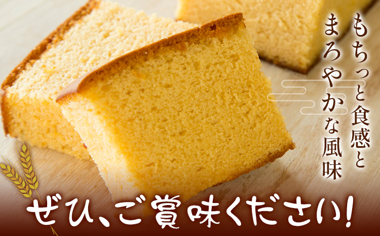 もち麦カステラ 2本 株式会社玉利軒《30日以内に出荷予定(土日祝除く)》岡山県 笠岡市 カステラ もち麦 お土産 和菓子 手土産 送料無料 冷蔵配送---T-09_cool---