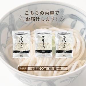 生うどん 麺のみ 9食（300g×3袋）普通麺｜うどん 生麺