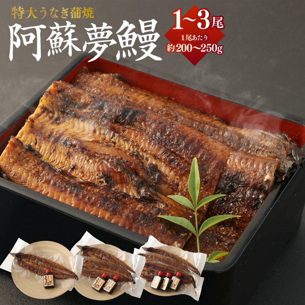 【ふるさと納税】 熊本産 特大うなぎ蒲焼【阿蘇夢鰻（アソロマン）】1尾 約200～250g タレ付き 阿蘇夢鰻 鰻 ウナギ 鰻蒲焼 うなぎの蒲焼き 蒲焼 蒲焼き たれ 熊本県産 国産 送料無料