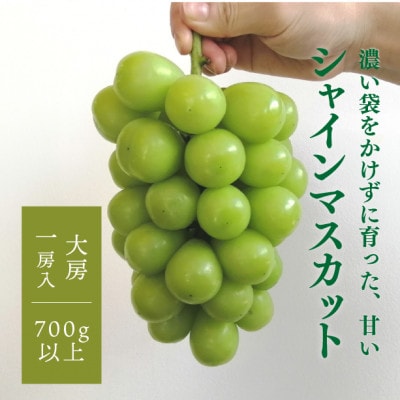 【きよとうファーム】【数量限定】大粒シャインマスカット厳選品1房 /700g以上(岡山県産)【配送不可地域：離島・北海道・沖縄県】