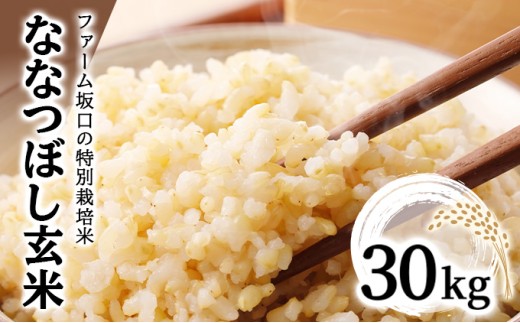 令和8年産！ファーム坂口の特別栽培米 ななつぼし玄米 30kg (30kg×1袋) 30kg(30㎏×1袋)