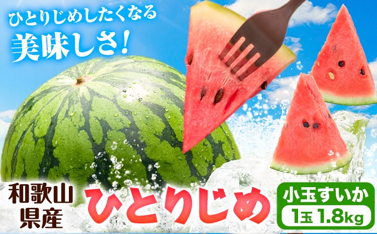 紀州和歌山産 小玉スイカ 「ひとりじめ」 1玉 魚鶴商店《2027年6月上旬-6月下旬頃出荷》 和歌山県 日高川町 スイカ スイーツ フルーツ---wshg_uot234_6j6g_26_10000_1t---