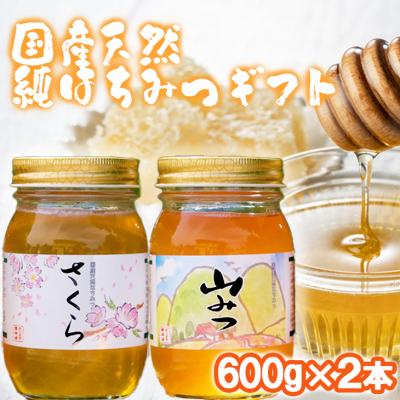 ふるさと納税 小郡市 はちみつ 化粧箱入り 600g×2本セット さくら&amp;やまみつ ギフト[No5354-0322]