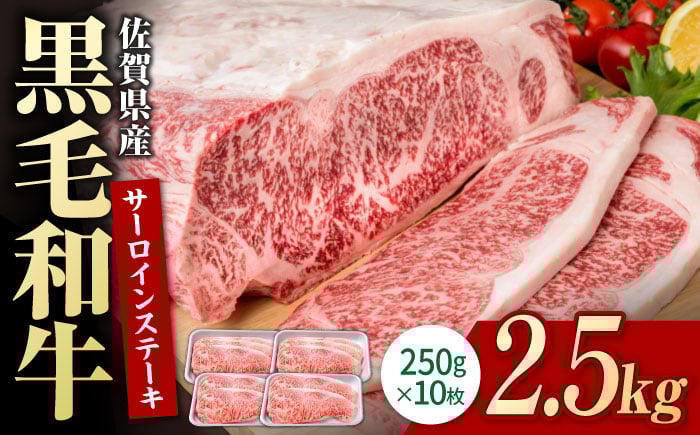 
            【お中元対象】佐賀県産 黒毛和牛 贅沢 サーロインステーキ 250g×10枚（計2.5kg）【いろは精肉店】佐賀県産 佐賀産和牛 牛肉 国産 肉 和牛 サーロイン ステーキ さーろいん すてーき 冷凍 白石町 九州 定期便 人気 高評価 九州 佐賀県 白石町 [IAG019]
          