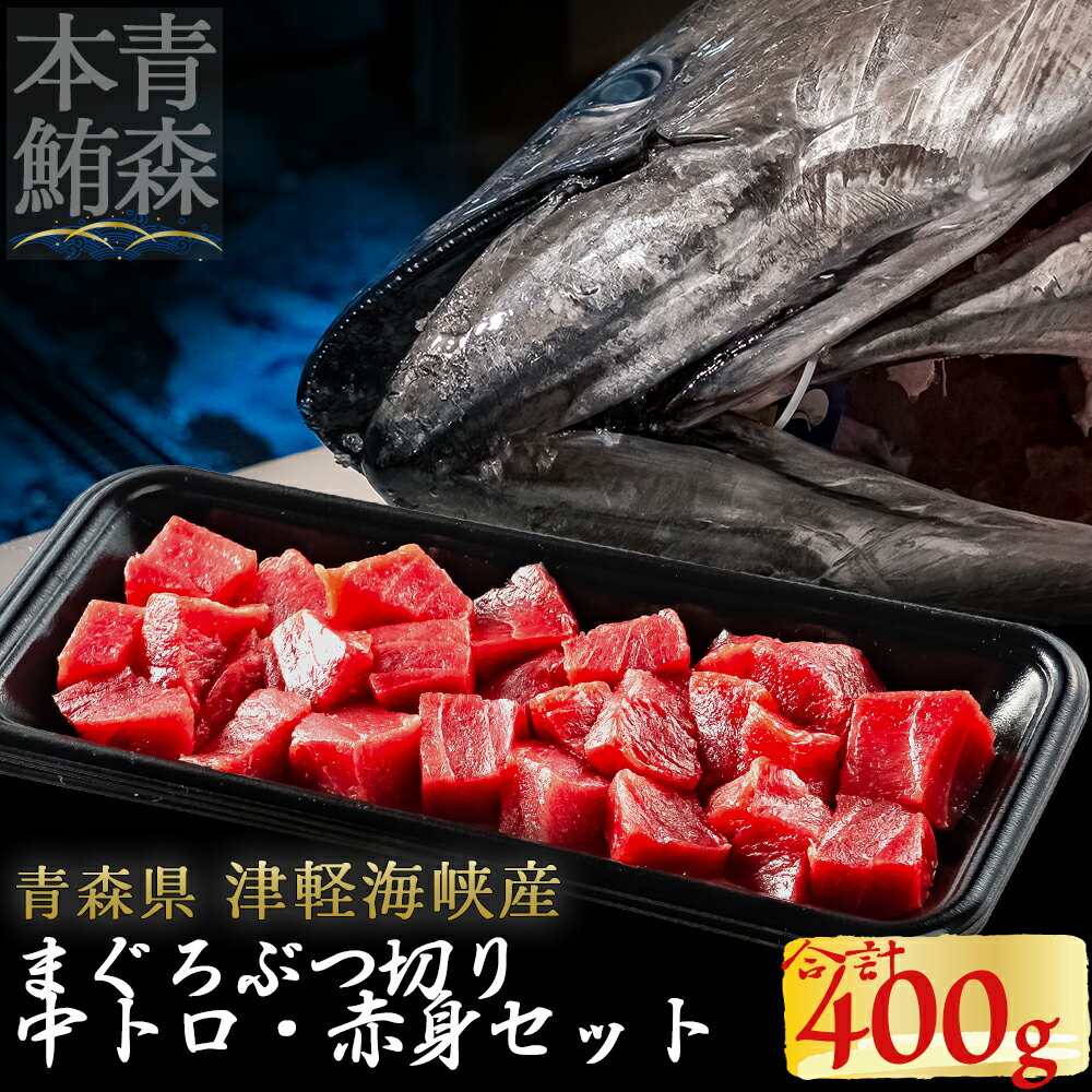 【ふるさと納税】津軽海峡産マグロ　中トロブツ切・赤身ブツ切セット合計 400g【配送不可地域：離島】本マグロ 本鮪 クロマグロ 刺身 海鮮 海産物 ふるさと納税 マグロ 青森県産 むつ市