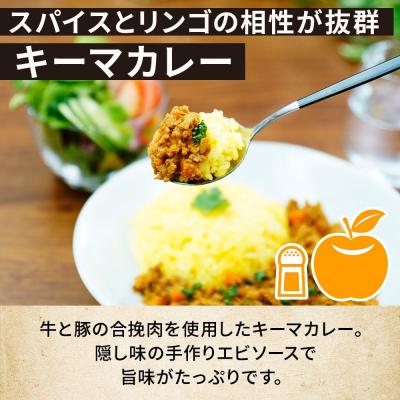 ふるさと納税 名古屋市 《無地熨斗》 コーノスパイス キーマカレー 200g×3パック |  | 01