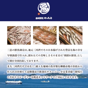 【愛知県三河産】ボイル天然トリ貝　大（9枚入×2パック）_【G0655】