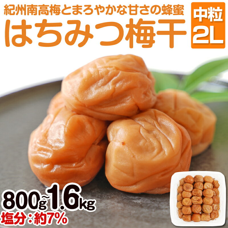 【ふるさと納税】はちみつ梅干し(紀州南高梅)800g ・1.6kg 中粒 2L 和歌山県産 うめぼし 梅 800グラム 1.6キロ 送料無料 ふるさと納税 梅干し 減塩