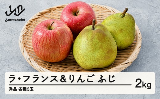 《先行予約》2026年 山形県産 令和8年 ラ・フランス りんご 2kg  ※沖縄・離島への配送不可 ts-fslro2