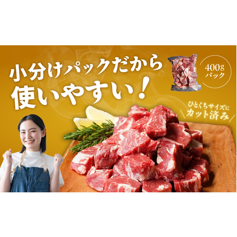 【氷温熟成×極味付け】牛ヒレ肉 切り落とし 1.2kg 訳あり サイズ不揃い mrz0041_イメージ5