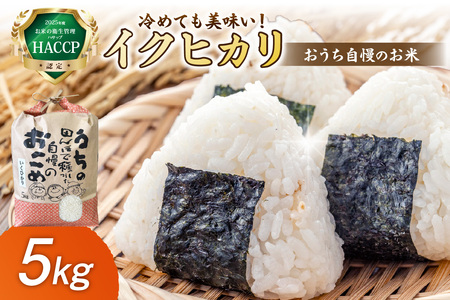 【1296】おうち自慢のお米　イクヒカリ 5kg
