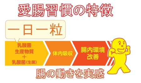 a25-040　腸活サプリ 愛腸習慣 6袋 セット 限定 まとめて お届け