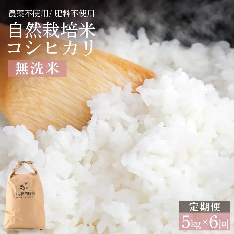 【先行予約】【令和8年産】定期便 ≪6ヶ月連続お届け≫ 自然栽培米コシヒカリ 無洗米5kg×6回（計30kg） ＜温度と湿度を常時管理し新鮮米を出荷！＞/ 米 白米 自然の力 高品質 鮮度抜群 ブランド米 福井県 あわら市産 スマート農業 ※2026年10月下旬以降順次発送 [aw071-k002]