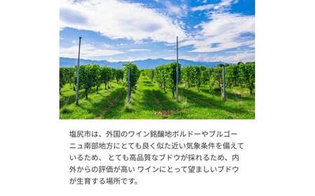 塩尻産スパークリングワイン 3本セットB