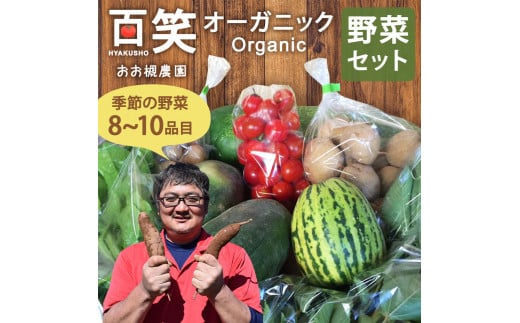 百笑オーガニック野菜セット（8～10品目）（KAG-1）