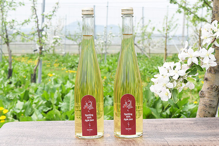 スパークリングジュース 500ml×2本＆りんごジャム 150g×3個のギフトセット リンゴ 果汁 林檎 飲料 アップル 果物 フルーツ 青森 飲み物 ドリンク
