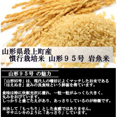 ふるさと納税 最上町 新米　令和8年産 慣行栽培米 山形95号　玄米 10kg　山形県産　西塚農場 |  | 01