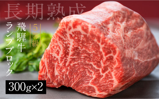 飛騨牛 5等級 ランプブロック 600g(300g×2) 古里精肉店謹製 牛肉 ブロック肉 肉厚 和牛 ブロック 国産 黒毛和牛 塊肉 ステーキ 焼肉 ステーキ肉 赤身 赤身肉 赤身牛肉 肉 希少部位 バーベキュー キャンプ BBQ アウトドア ローストビーフ