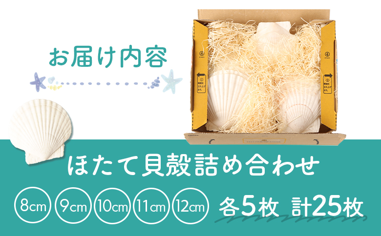 ほたて貝殻詰め合わせ |  ほたての貝殻 ホタテ貝殻 貝殻 詰め合わせ 装飾 お皿 インテリア 盛り付け クラフト アクセサリー ハンドメイド 工作 材料 お取り寄せ 北海道 雄武町 雄武【13001