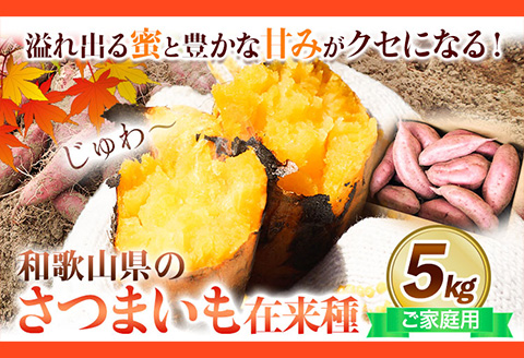 和歌山県のさつまいも 訳あり ご家庭用 5kg 在来種《12月中旬‐4月下旬頃出荷》和歌山県 日高川町 みはらファーム さつま芋 薩摩芋