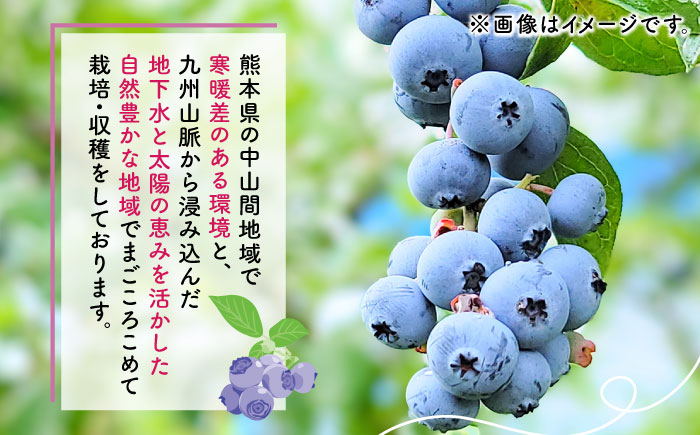 【先行予約】【3回定期便】【訳あり】 冷凍ブルーベリー 小粒 約2kg（約500g×4pc） 【すみれファーム】 [ZEP050]