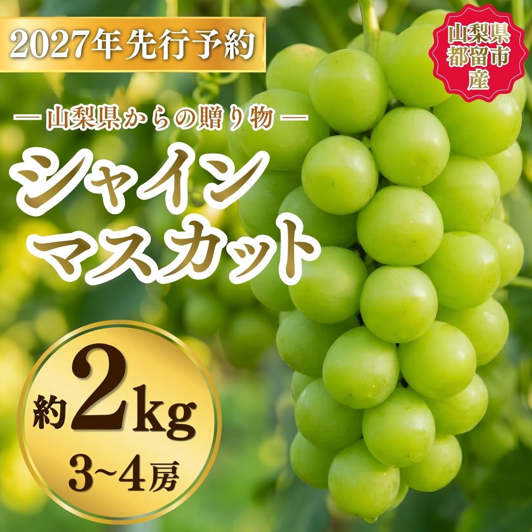 【ふるさと納税】 シャインマスカット 2kg前後 3〜4房 先行予約 2027年発送 山梨県産 小林農園 ぶどう