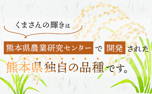 【令和8年産 玄米 】 先行予約 多良木町産 『くまさんの輝き 玄米』 30kg 10月中旬～発送 玄米 熊本県 たらぎ お米 米 熊本県 30キロ 044-0598