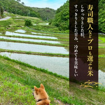 ふるさと納税 赤磐市 先行受付 農薬不使用 ホタル舞う里山の棚田米 玄米10kg 令和8年産[NO5765-1514] |  | 02