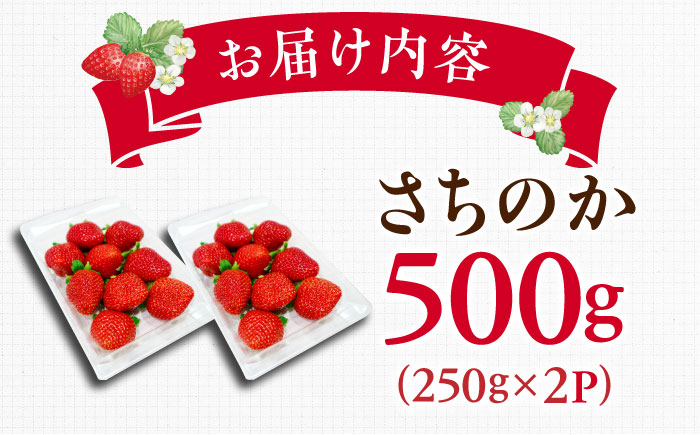 【2025年発送分 先行予約】【ビタミンC豊富な濃厚いちご】さちのか 500g（250g×2パック） / 苺 イチゴ いちご フルーツ 果物 / 佐賀県 / さかもとさんの畑 [41ABAA007]