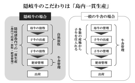 【A5・A4等級】希少部位！幻の黒毛和牛・隠岐牛肉塊セット2.4kg＜天然塩付き＞