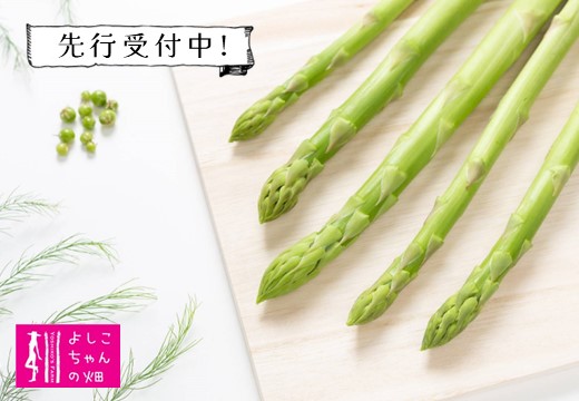 【先行受付 令和7年7月より発送】夏芽のアスパラ 1.2kg 【アスパラ アスパラガス グリーンアスパラガス モデル バーベキュー BBQ こだわり 採れたて 野菜 】(H013105)