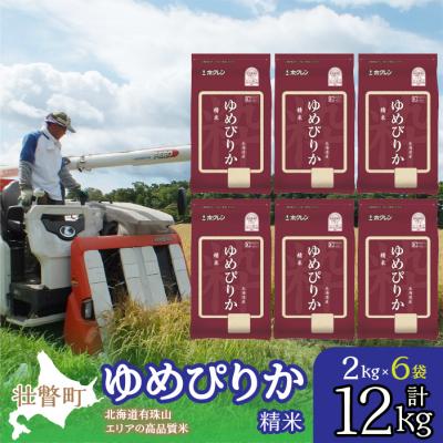 ふるさと納税 壮瞥町 【令和7年産】(精米12kg)ホクレンゆめぴりか(精米2kg×6袋) SBTD032