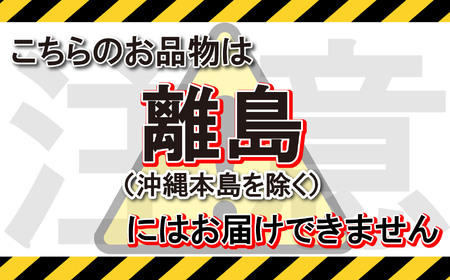  Yogibo Drop Rainbow Premium  ブライト （ヨギボー ドロップ レインボー プレミアム）